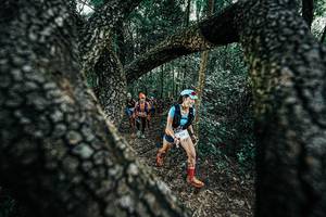 BIB: 
                            <button type="button" onclick="openModal(25391993)" class="btn btn-primary btn-sm float-right btn-popup" data-toggle="modal" data-target=".modal-high-quality">
                        <i class="fas fa-shopping-cart"></i> Add to Cart
                    </button>
                                            <button type="button" onclick="isThisMe(25391993, true)" class="btn btn-success btn-sm float-right btn-popup btn-isme hidden" data-toggle="tooltip" data-placement="bottom" title="นี่คือรูปของคุณใช่ไหม คลิกที่นี่เพื่อเอาเข้าอัลบั้ม">
                        <i class="fas fa-plus"></i> Add to album
                    </button>
                    <button type="button" onclick="isThisMe(25391993, false)" class="btn btn-warning btn-sm float-right btn-popup btn-isnotme hidden">
                        <i class="fas fa-ban"></i> Remove from album
                    </button>